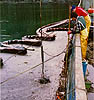 Crane skimming, Exxon Valdez -89